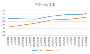 デグー体重2016/09/14