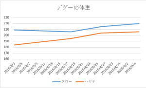 タローとハヤテの体重グラフ